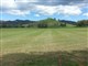 Belltrees Cricket Club Pink Stumps Day Spectacular