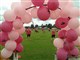 Shoalhaven Ex Servicemen's Cricket Club Pink Stumps Day